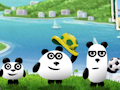 3 Pandas - Brazil Icon