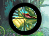 Crazy Crocs Icon