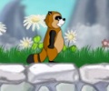 Die tolle Raccoon F .. Icon