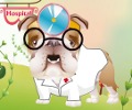 Dr. Bulldoges Tierp .. Icon